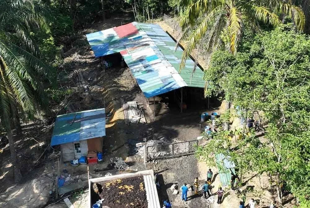 Penternak terbabit didapati mendirikan struktur kandang dan menempatkan lembu tanpa kebenaran di atas tanah milik kerajaan di Sungai Tangkas.