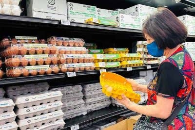 Peraturan negeri didakwa naikkan harga telur di seluruh AS dan menyekat kaedah pertanian tradisional - Gambar fail Agensi