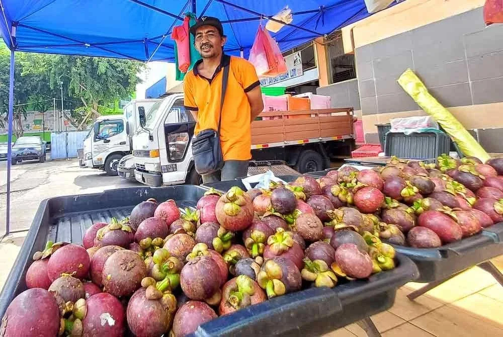 Mohd Asri memaklumkan buah manggis mendapat sambutan menggalakkan daripada pelanggan. Foto Sinar Harian