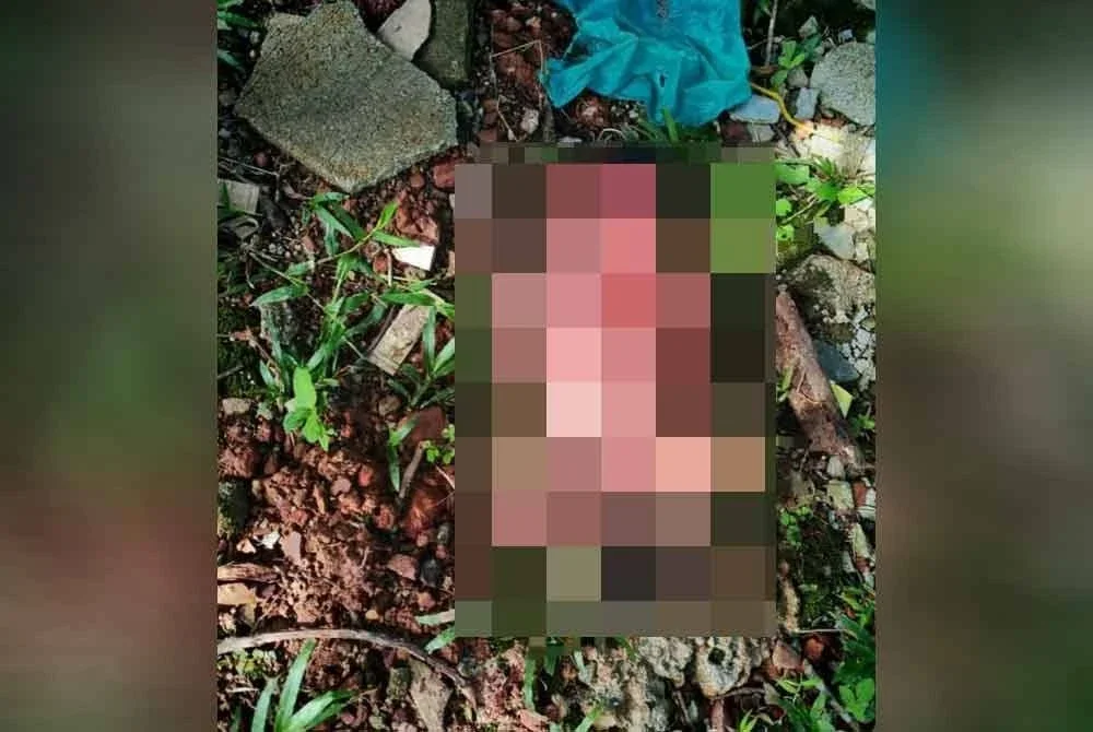 Bayi lelaki ditinggalkan tepi jalan tanpa pakaian dan tidak berlapik di tepi jalan Taman Cempaka Indah, Bukit Selambau.