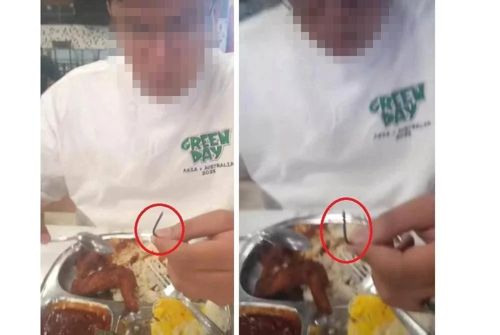 Tangkap layar video TikTok menunjukkan sebatang paku dalam hidangan ayam.