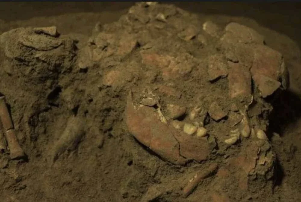 Sekumpulan penyelidik dari Australia, Indonesia dan Jerman berjaya mengesan DNA daripada fosil manusia purba dipercayai seorang remaja perempuan yang hidup kira-kira 7,200 tahun lalu.