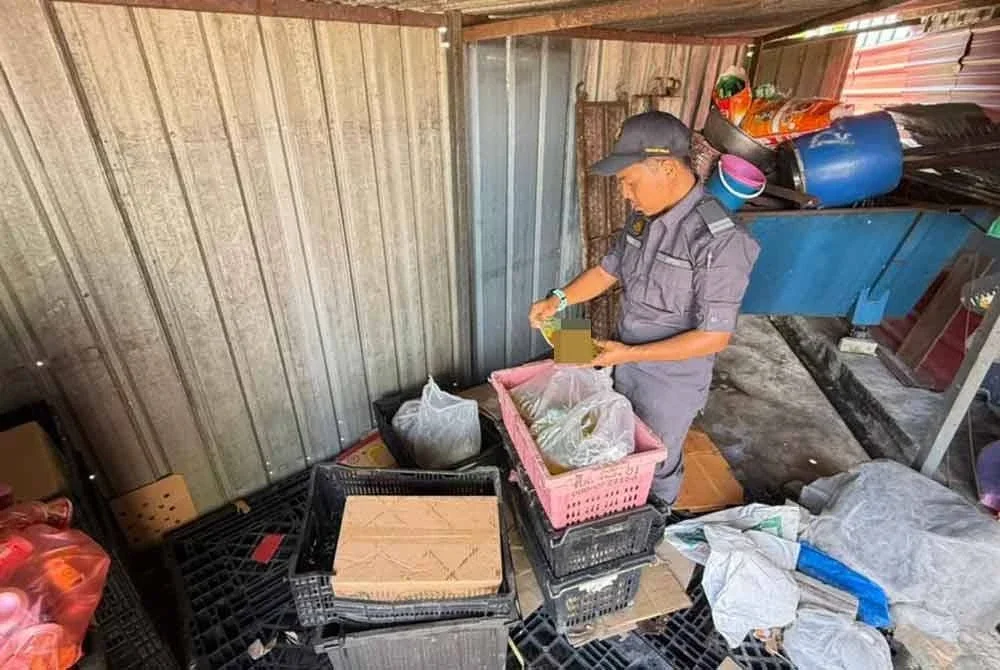 Minyak masak yang ditemui dalam serbuan Op Tiris disyaki digunakan sebagai bahan memasak makanan dan menjual buat pekerja warga asing di Kamunting. Foto ihsan KPDN Perak