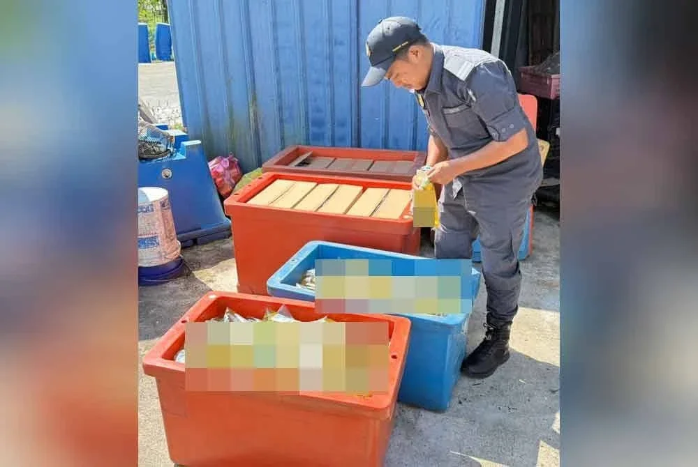 Pegawai KPDN Perak menjumpai 605kg minyak masak yang disimpan dalam tong ais ketika serbuan di sebuah premis di Kamunting pada Khamis. Foto ihsan KPDN Perak