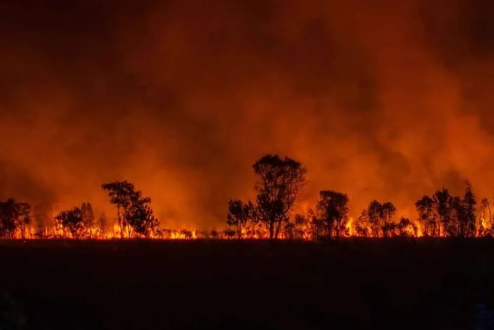 Kebakaran dipercayai berpunca daripada cuaca kering dan angin kencang. - Foti: Fail AFP