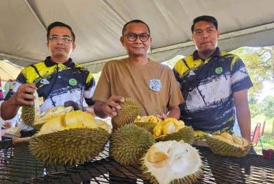 Mohamad Zabawi (tengah) menunjukkan varieti durian yang dapat menarik perhatian pengunjung menerusi pakej lawatan Duriotourism di Mardi Kuala Kangsar pada Sabtu.