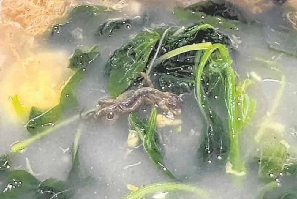 Seorang pelanggan wanita terkejut apabila menemui seekor cicak dalam semangkuk sup dibelinya dari sebuah medan selera terletak di Jalan Bras Basah pada Jumaat lepas.