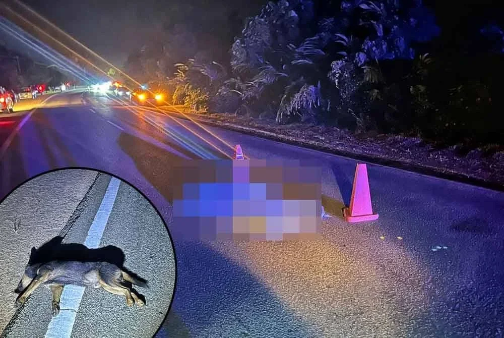 Pekerja kedai makan maut selepas motosikal dinaiki bersama rakannya melanggar seekor anjing yang tiba-tiba melintas di Jalan Kuantan-Maran berhampiran Pondok Polis Paya Bungor, di sini, pada Ahad. Foto IPD Kuantan