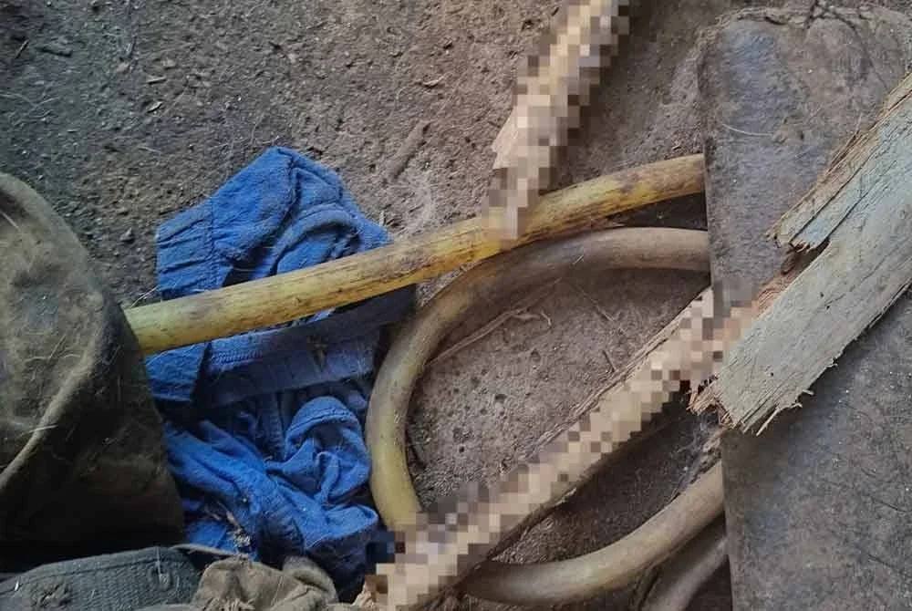Rangka manusia disyaki anak bongsu kepada bekas ADUN Pasir Bedamar ditemui dalam sebuah rumah pusaka di Teluk Intan pada Sabtu. Foto ihsan pembaca