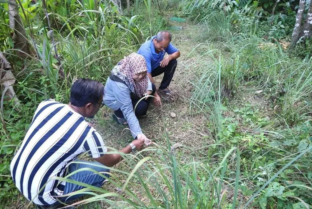 Azlina (tengah) menunjukkan kesan yang ditinggalkan haiwan itu berdekatan rumahnya di Kampung Belimbing, Hulu Dungun.
