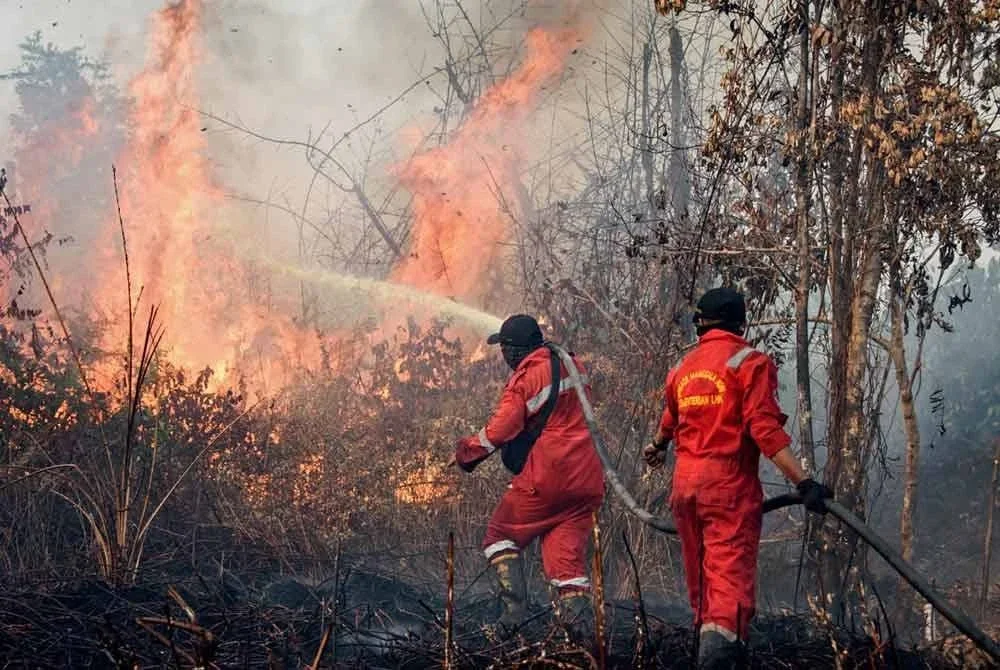 Anggota bomba mengawal kebakaran di kawasan tanah gambut di Rimba Panjang, Riau. Foto AFP