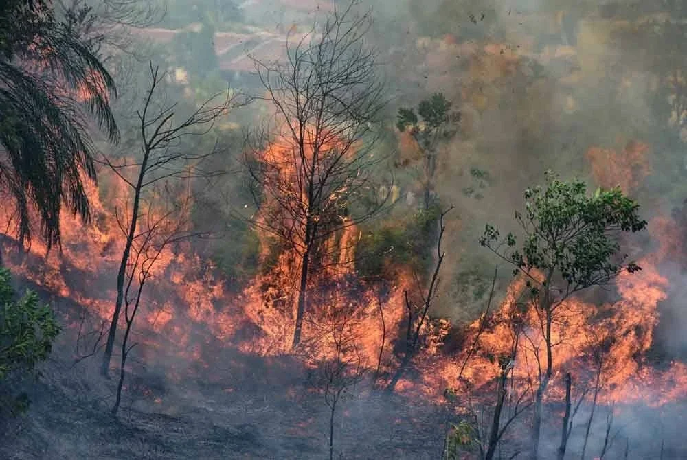Kebakaran hutan merebak di Karya Indah, Riau. Foto AFP