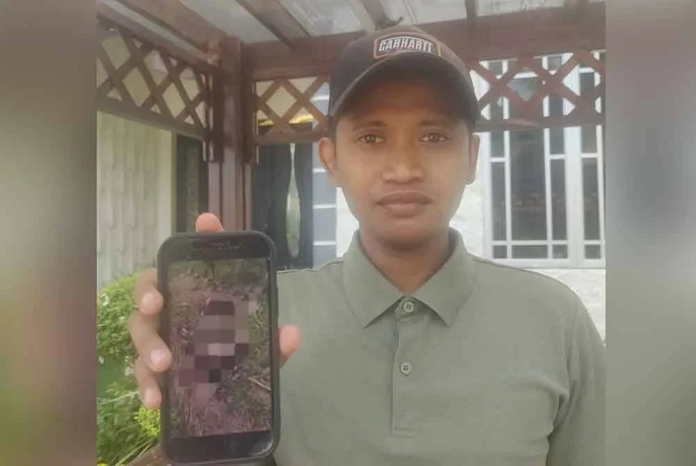 Hakimi menunjukkan gambar penemuan rangka manusia di kebun kelapa sawit milik ibunya di Jalan Saring Tebuk Jawa, Sungai Air Tawar di Sabak Bernam pada Rabu.