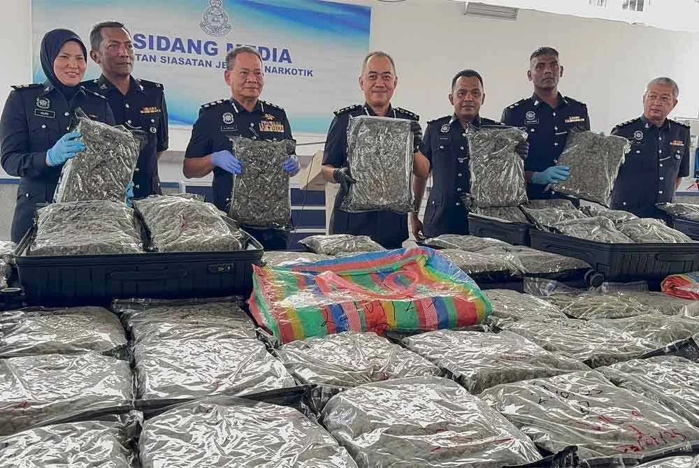 Mohd Alwi (tengah) menunjukkan dadah jenis bunga ganja yang dirampas daripada suspek.