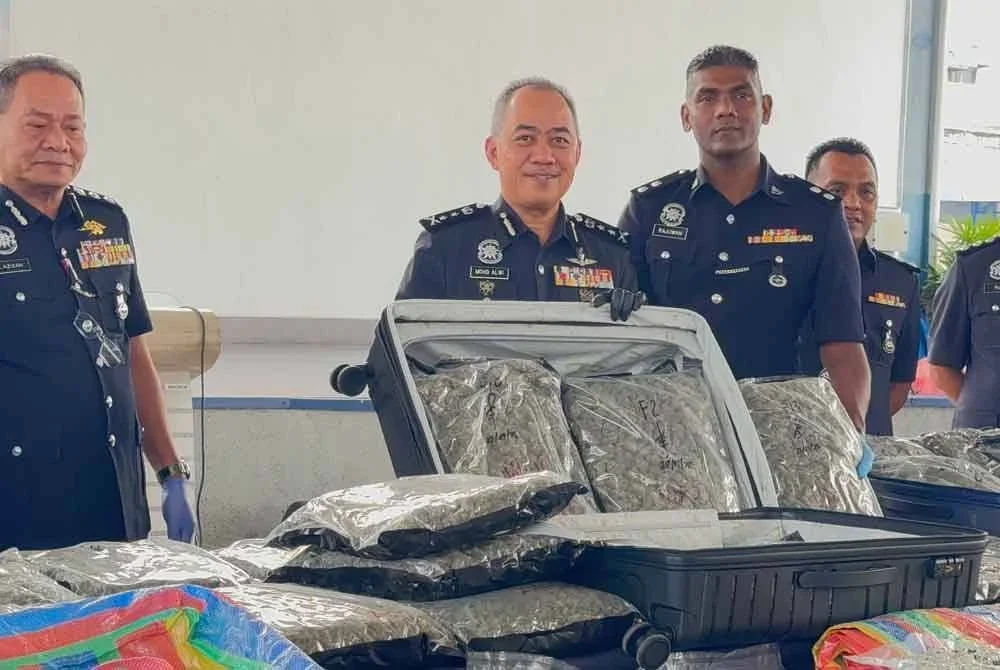 Pemeriksaan membawa kepada rampasan satu beg kanvas mengandungi sembilan peket plastik ketulan daun kering disyaki ganja seberat 9.2 kilogram serta lima peket bunga ganja seberat 4.2 kilogram.