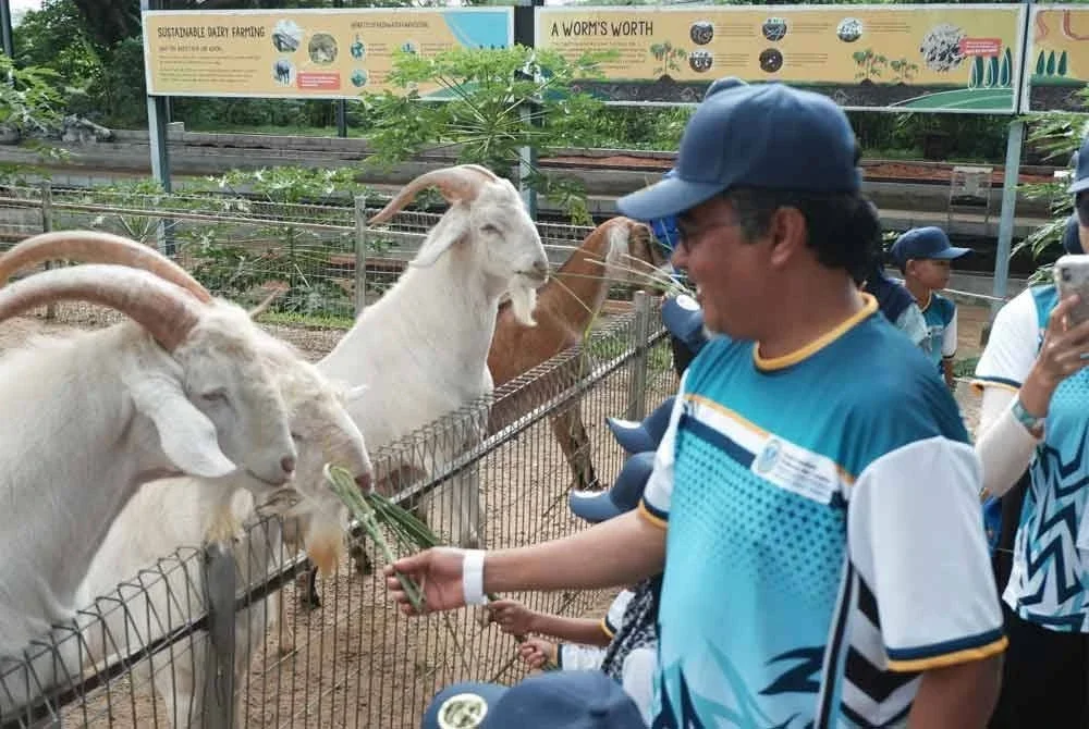 Timbalan Pengarah PACE UUM, Prof Madya Dr. Abdul Aziz Othman memberi makanan kepada ternakan yang terdapat di Farm Fresh sempena Program Sinar Komuniti UUM bersama Pertubuhan Kebajikan Islam Peribadi Mulia di Serdang baru-baru ini. 