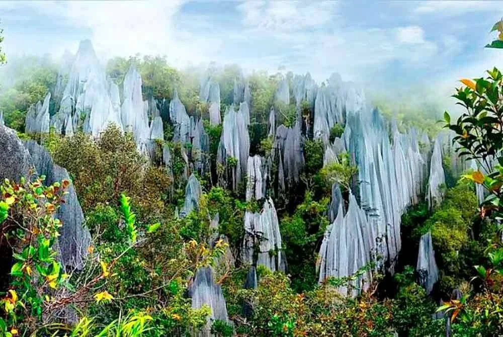 Seorang lelaki warga emas cedera parah selepas dipercayai terjatuh dari ketinggian kira-kira 500 meter di Gunung Api, Taman Negara Mulu. Gambar hiasan