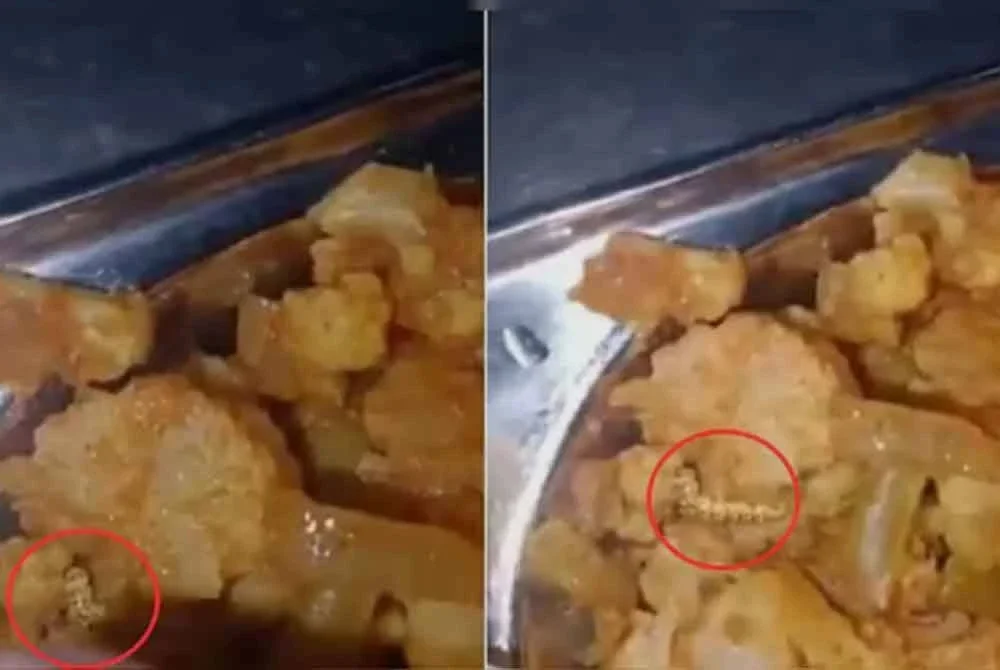 Ulat (bulatan merah) yang dijumpai dalam makanan disajikan kantin di Universiti Savitribai Phule Pune (SPPU), Pune. Foto Agensi