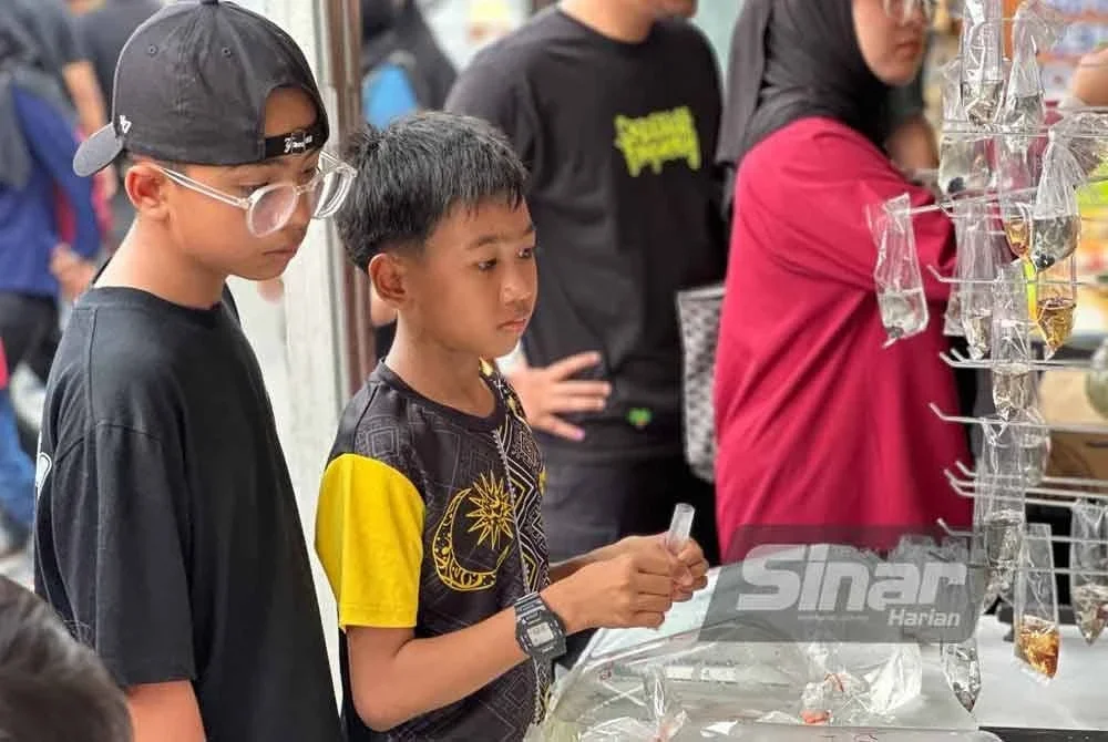 Antara pengunjung cilik yang berminat membeli ikan peliharaan.
