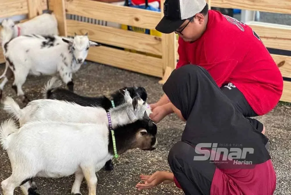 Pengunjung kanak-kanak melepaskan peluang melihat sendiri kambing pygmy yang terdapat di Petting Zoo.