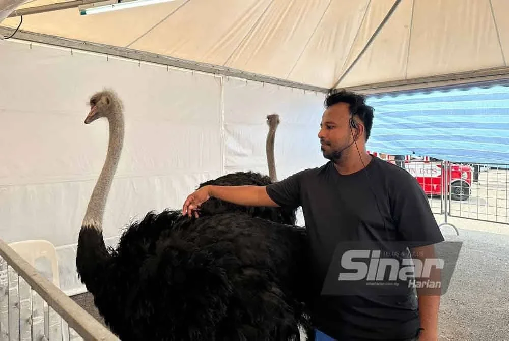 M Shaun bergambar bersama burung unta.