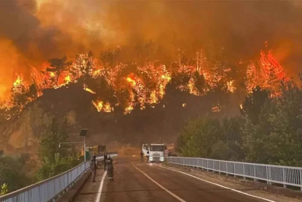 Turkiye berdepan dengan kebakaran hutan selama empat hari di Karabuk.