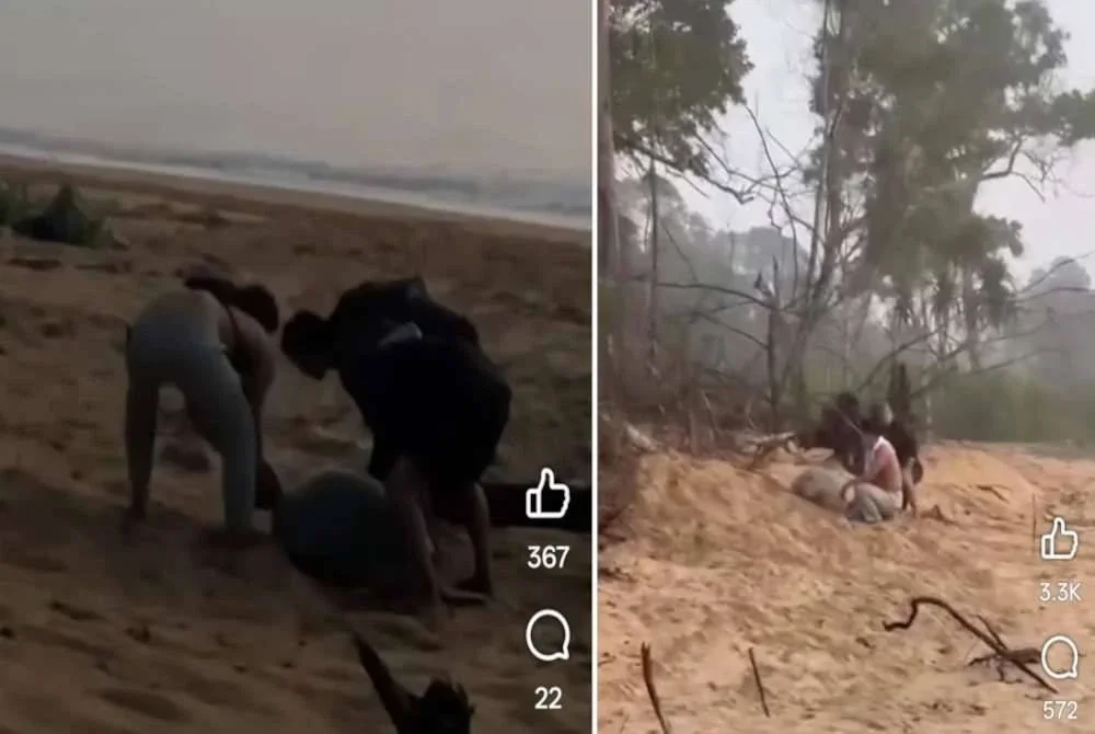 Suspek dipercayai mengganggu penyu bagi mempercepatkan proses bertelur dengan tujuan mengambil telur untuk dijual atau digunakan secara haram.