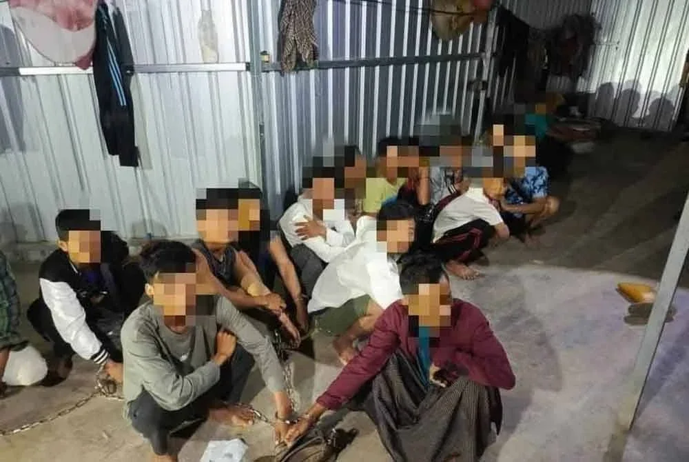 JIM Kelantan menahan 25 PATI dalam serbuan menerusi Ops Sapu di kawasan tanah tinggi Lojing, Gua Musang pada Isnin. Foto: JIM Kelantan