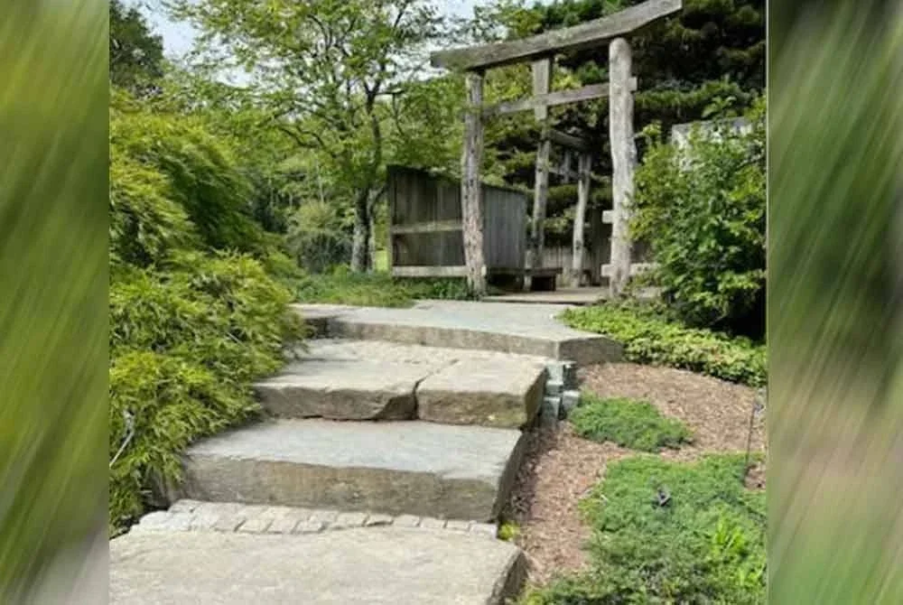 Kesan luka bakar itu memerlukan Nenek Wang menjalani pembedahan dan proses cantuman kulit. - Foto Agensi