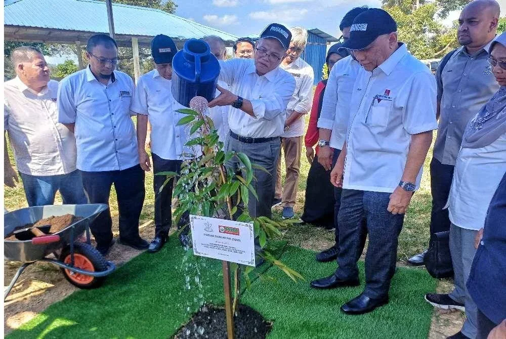 Wan Rosdy menanam durian duri hitam selepas merasmikan program Moh Kendurian di Ladang Kampung Mahkota Pertubuhan Peladang Negeri Pahang (PASFA), di sini pada Rabu. Foto Sinar Harian