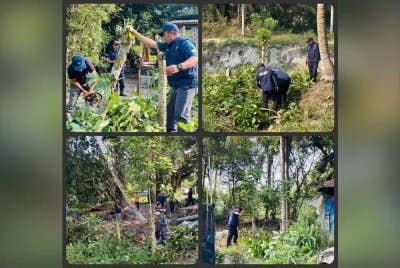 Operasi memusnahkan pokok ketum yang ditanam di atas tanah milik kerajaan di Batu Gajah. Foto ihsan FB Polis Daerah Batu Gajah