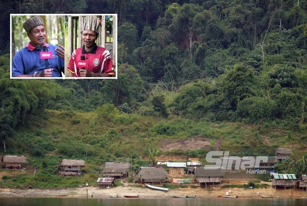 Tok Batin memberitahu kehadiran Harimau Malaya sebenarnya boleh ‘dirasai’ dalam radius dua kilometer dari penempatan mereka. (Gambar kecil: Arof, Abu Bakar) Foto Sinar Harian -ROSLI TALIB