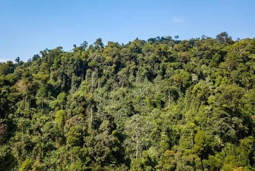 Di bawah RMK13, kerajaan mempercepat pembangunan industri unsur nadir bumi (REE) dengan tumpuan kepada teknologi tempatan, karbon hijau dan pelaburan mampan. Foto hiasan