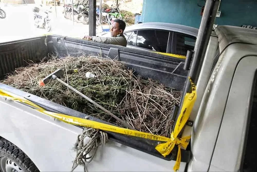 Pacuan empat roda yang digunakan tiga lelaki untuk membuang sisa pertanian dalam Hutan Simpan Sungai Terla disita Pejabat Hutan Daerah Cameron Highlands. Foto: JPNP.