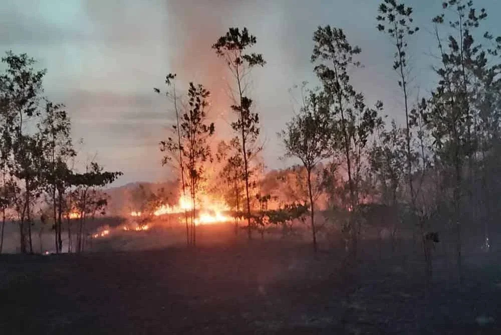 Kebakaran melibatkan kawasan seluas 24.28 hektar di Jalan Kiambang Sari 1, Felda Sungai Buaya, sejak petang Sabtu.