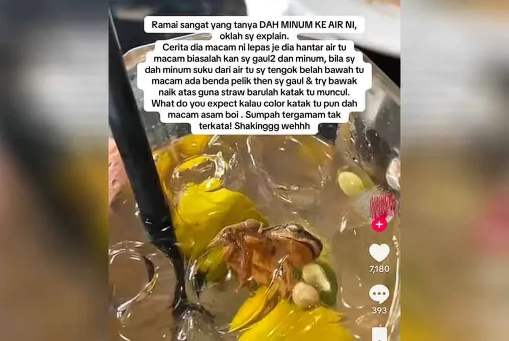 Kisah penemuan katak dalam air minuman itu dikongsikan mangsa menerusi akaun TikToknya.