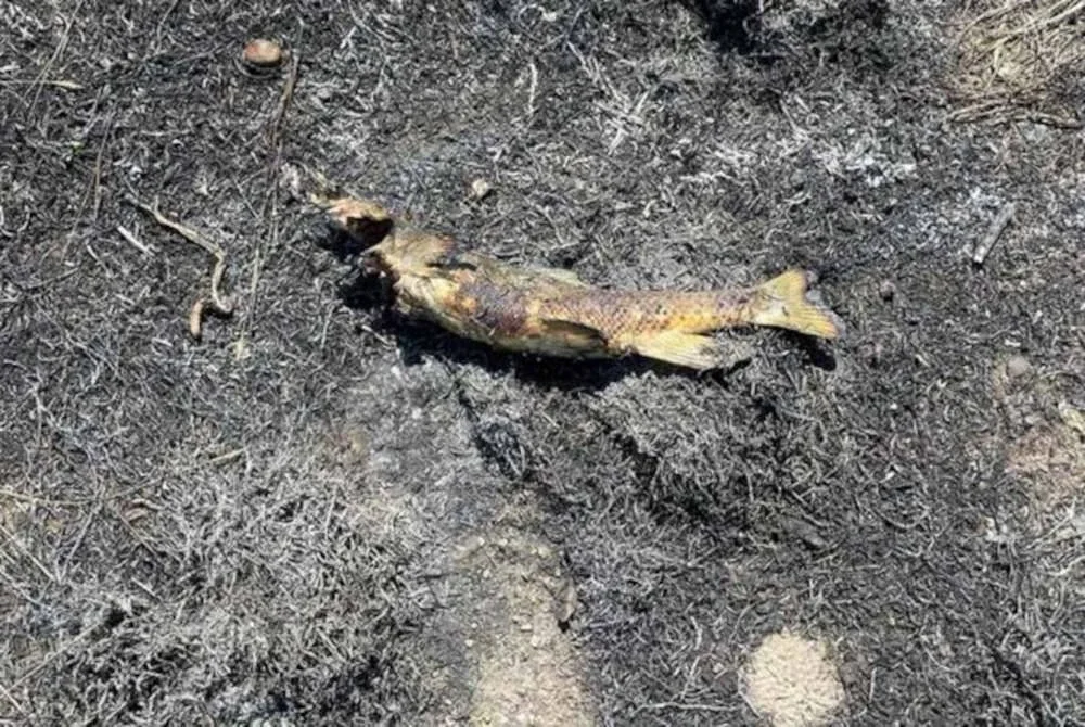 Siasatan bomba akhirnya berjaya mengenal pasti punca kebakaran dan gangguan bekalan elektrik tersebut. Foto Agensi