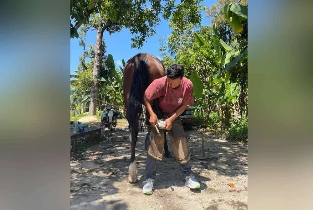 Mohd Zainuri memasang ladam kuda yang ditempah pelanggan.