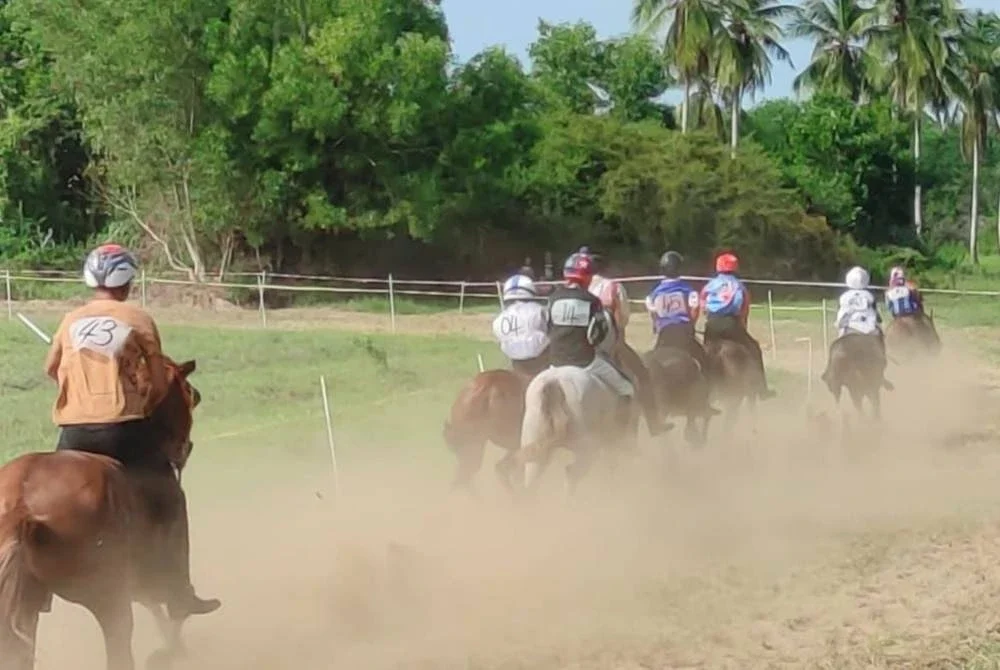 Kawasan kelapa sawit menjadi lokasi pertandingan kuda lasak kerana tiada lokasi khas untuk sukan itu