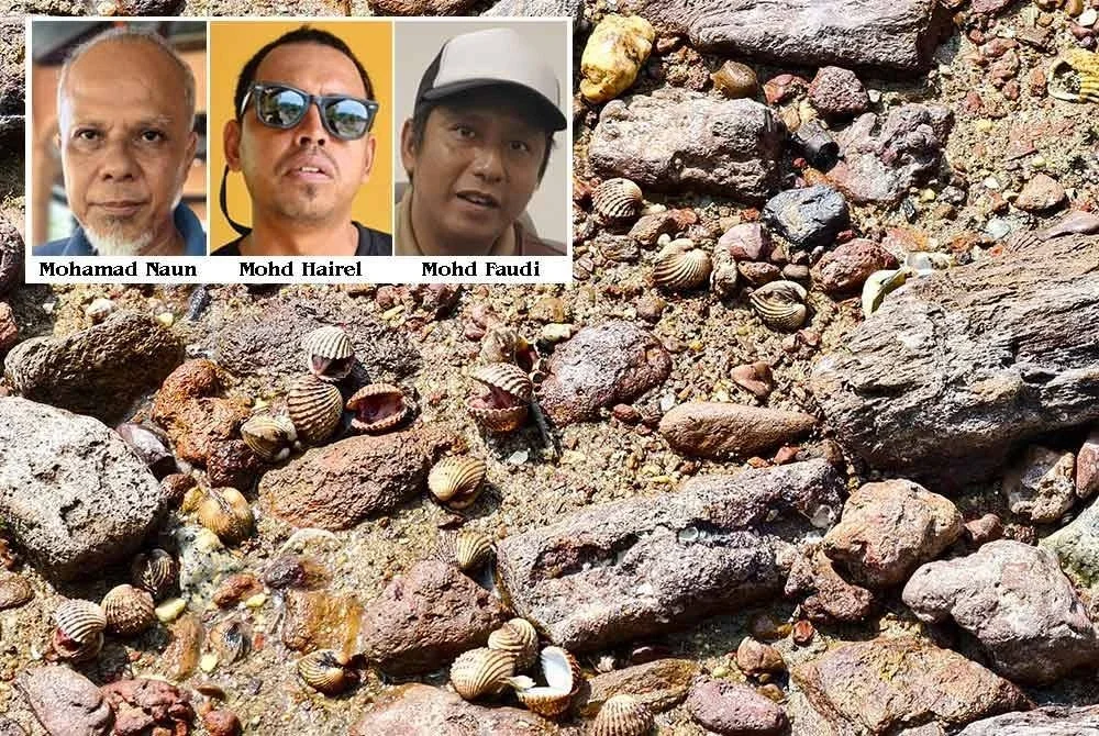 Kelihatan kerang yang mati di Jeti Pengkalan Nelayan Kampung Telok, Pasir Panjang, Port Dickson.