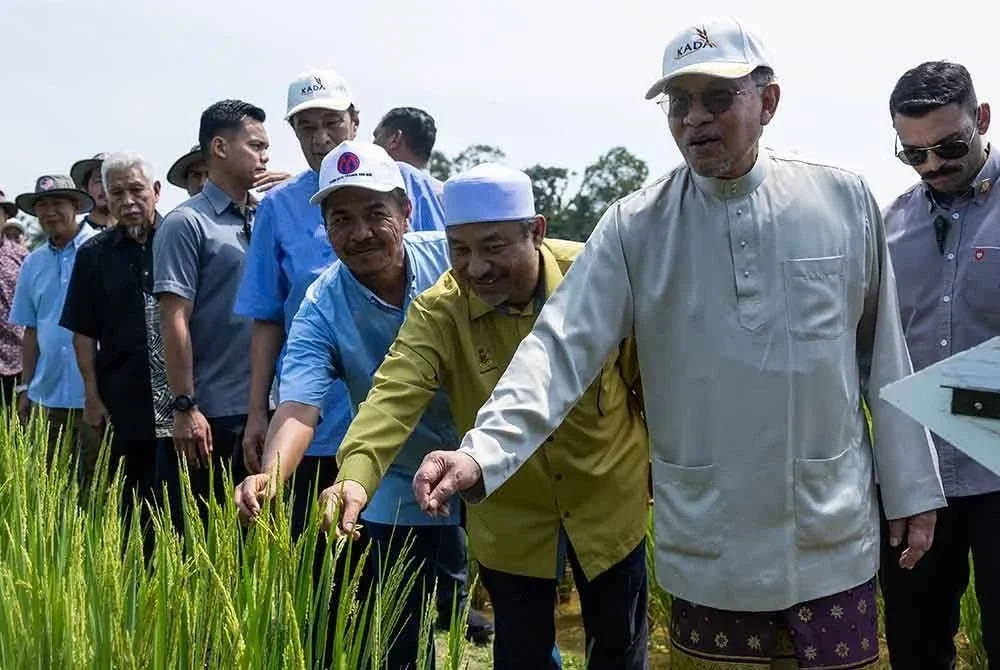 Anwar meninjau sekitar Projek penanaman padi sempena lawatannya di negeri Kelantan di Kawasan Lembaga Kemajuan Pertanian Kemubu (KADA) di Desa Gemalai Baruh Padi Alami pada Sabtu. Foto Bernama