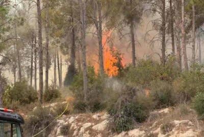 Pihak Berkuasa Bomba dan Penyelamat Israel dikerah memadamkan kebakaran yang merebak di Hutan Beit Keshet dan Hutan Eshtaol pada Selasa, susulan gelombang haba yang melanda negara itu.