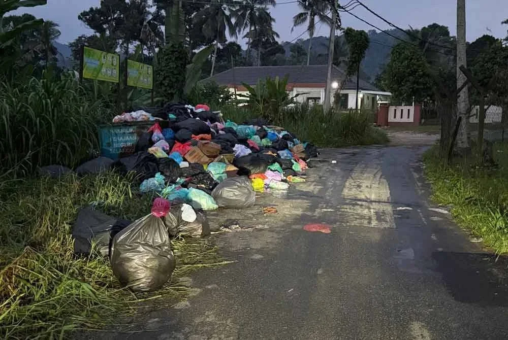 Lokasi pembuangan sampah di Kampung Haji Palil terletak terlalu hampir dengan rumah penduduk.