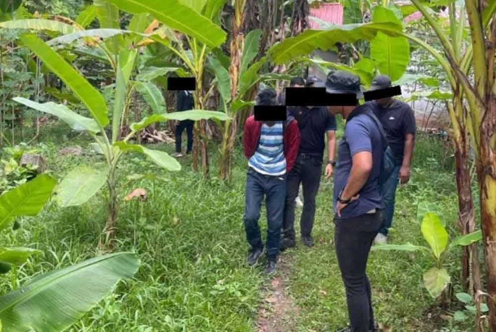 Serbuan kali ini memberi tumpuan di lokasi yang dikenal pasti sebagai sarang penagihan termasuk di skim Felda, Felcra, ladang swasta, Projek Perumahan Rakyat Termiskin (PPRT), flat dan jeti nelayan. Foto Polis Perak