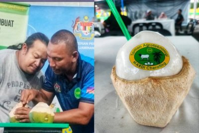 "Kelapa telur' menggunakan kelapa pandan.