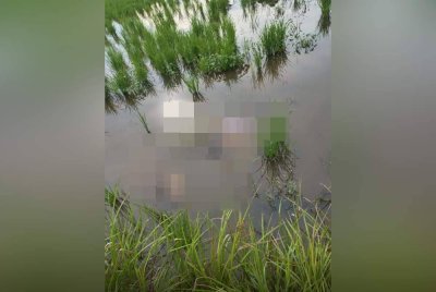Seorang pemancing ditemukan mati tertiarap di sawah padi di Ladang Padang Merdeka, Jelawat, pada Jumaat.