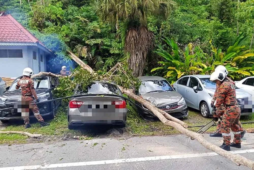 Tiga kereta rosak dihempap pokok tumbang berhampiran Gunung Angsi.