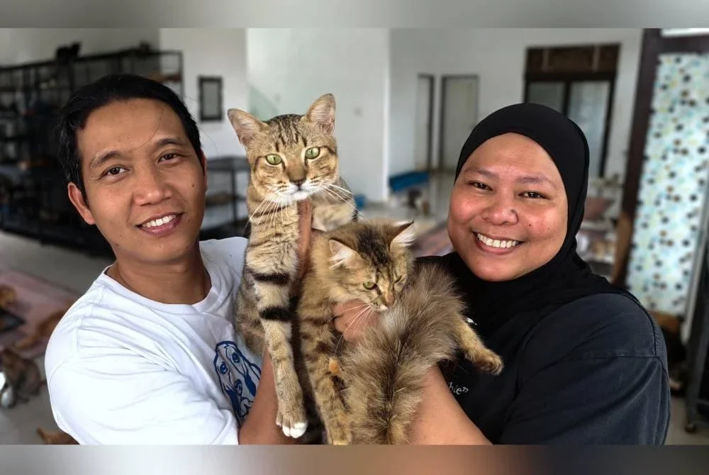 Ernani (kanan) dan Nor Izwan turut membuka peluang kepada sesiapa sahaja yang berminat untuk mengambil kucing-kucing tersebut sebagai haiwan peliharaan dengan bayaran antara RM200 hingga RM250 seekor.
