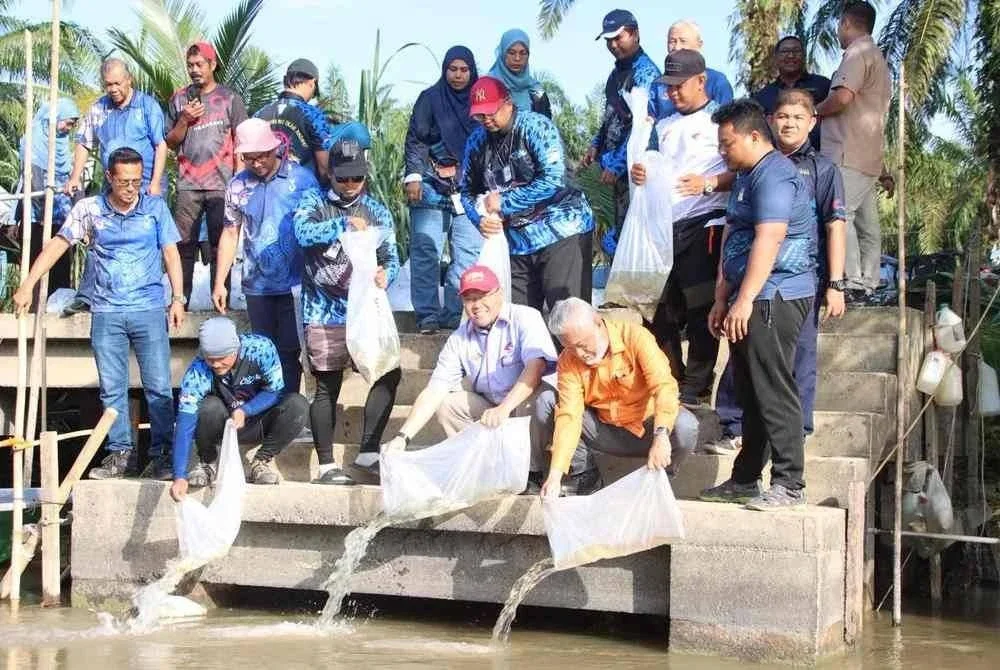 Adnan (duduk, dua dari kanan) melepaskan benih ikan asli bernilai RM18,400 melibatkan spesies temoleh, kerai dan udang galah di Sungai Galah. Foto: Jabatan Perikanan Perak