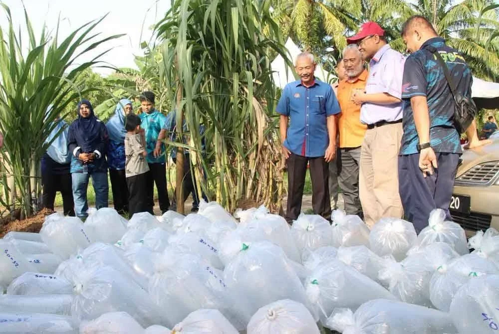 Adnan (dua dari kanan) melihat bekalan benih ikan asli bernilai RM18,400 membabitkan spesies temoleh, kerai dan udang galah.